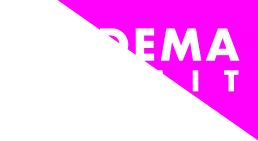 Lipedema Summit 2026 logo